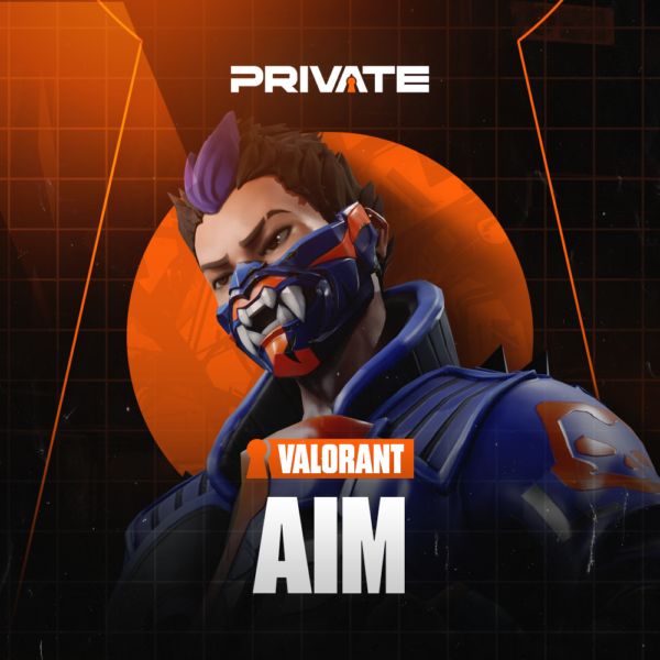 Valorant AimBot